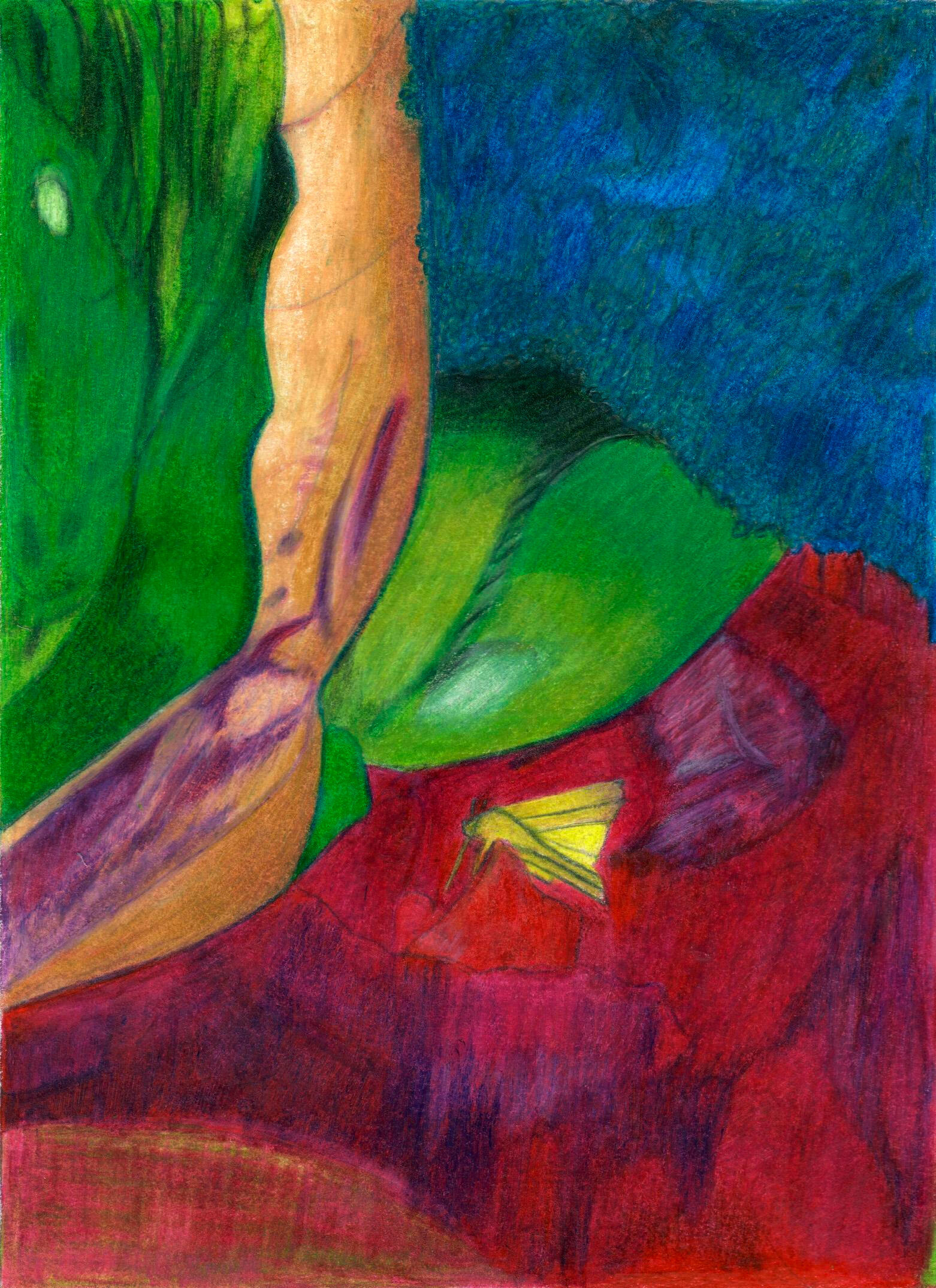 Artifice Artifice - Dessin aux crayons de couleur - Drawing - colored pencils ) maureenlasne