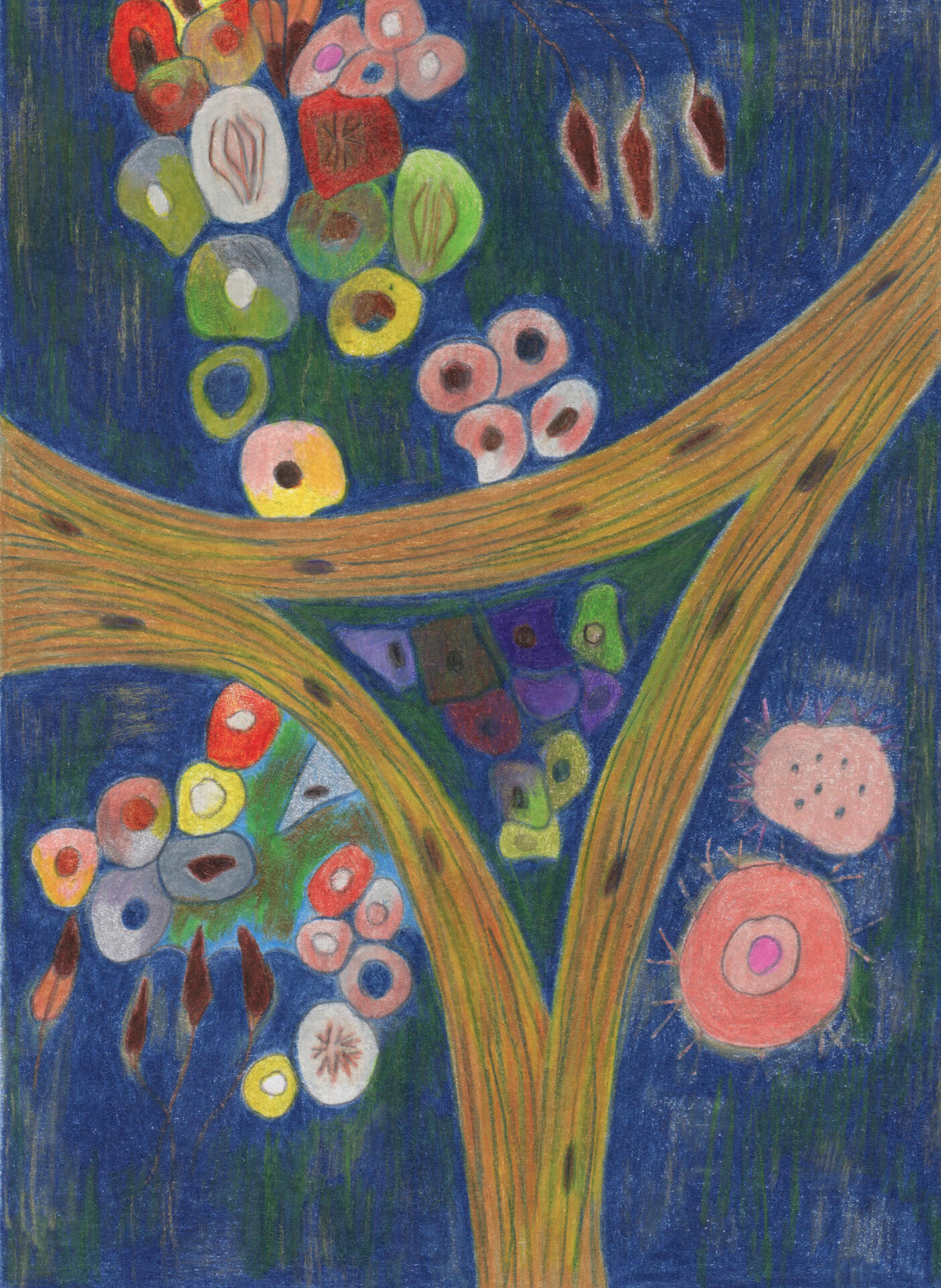 Uncommon spermatogenesis - Dessin aux crayons de couleur-Drawing