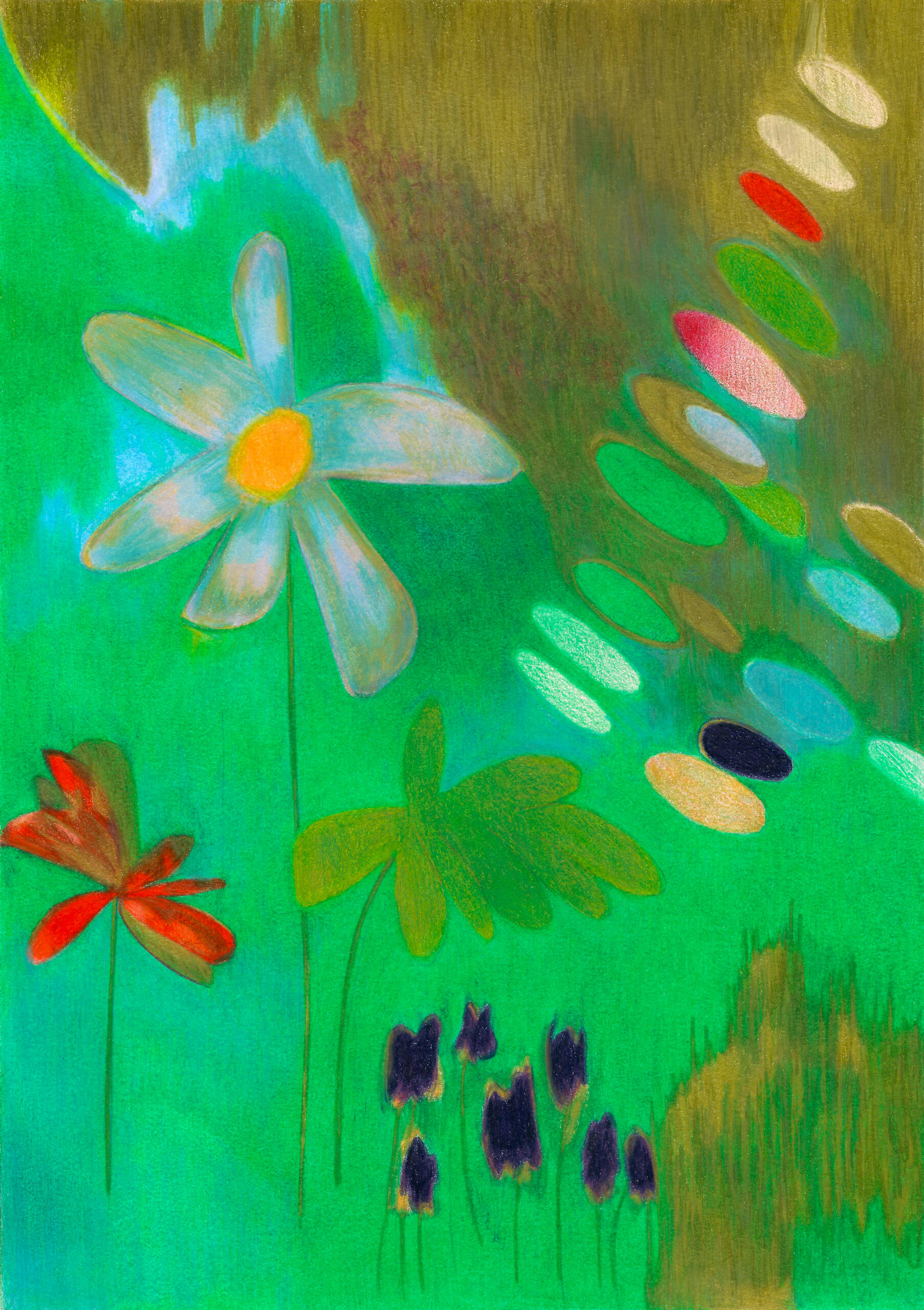 Dessin aux crayons de couleur- disegnoamatitacolorata-colored pencil drawing-Flowers-maureenlasne-fleurs